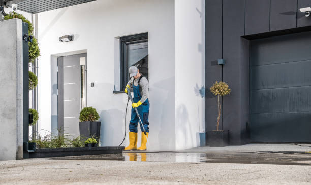 Best Fleet Vehicle Washing  in Devine, TX